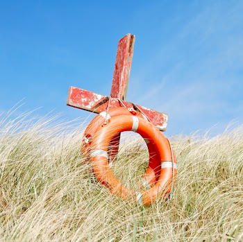 Orange Buoy on Grass