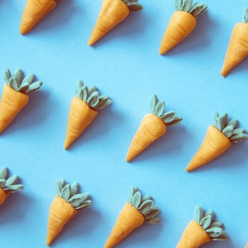 Orange Carrot Toy