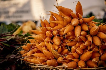 Orange Carrots