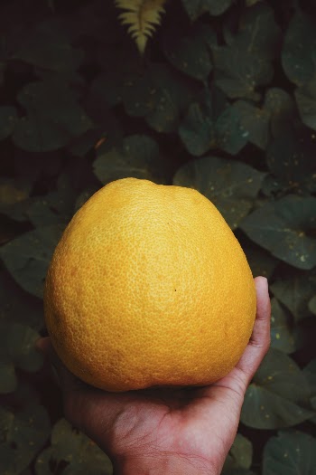 Orange Citrus Fruit