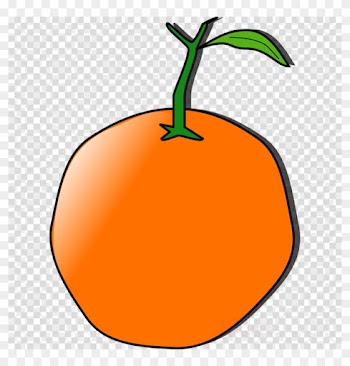 Orange Clip Art Png - Logo Camera Icon Png Transparent