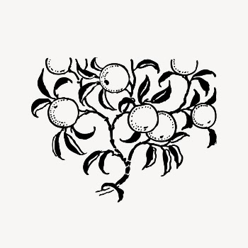 Orange clipart, vintage illustration vector. | Free Vector Illustration - rawpixel