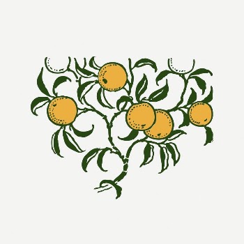 Orange collage element, drawing illustration | Free PSD Illustration - rawpixel