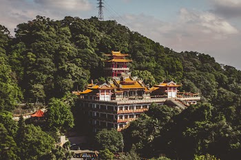 Orange Concrete Building Surrounded by Green Trees at Daytime