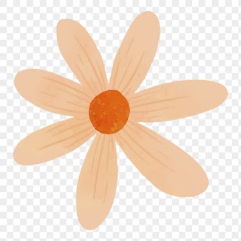 Orange daisy png sticker, cute | Free PNG - rawpixel