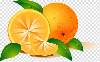 Orange Desktop Fruit , orange transparent background PNG clipart