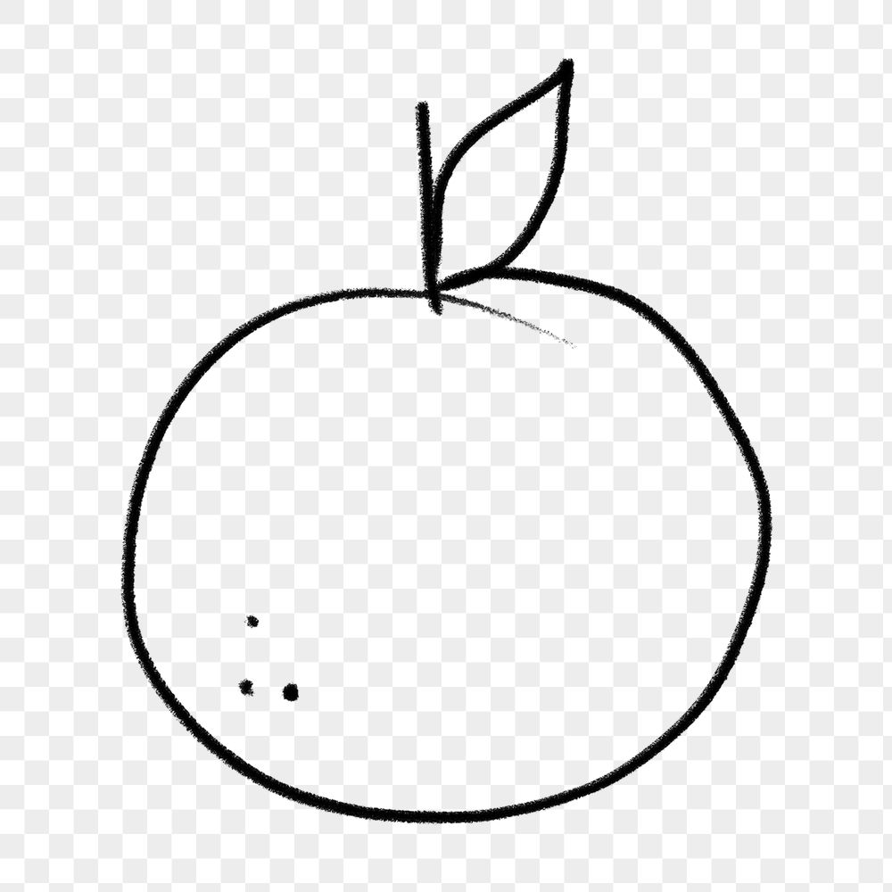 Orange doodle png sticker, fruit | Free PNG - rawpixel