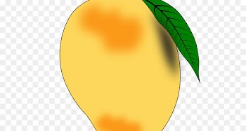 Orange, Drawing, Fruit, Yellow, Leaf PNG