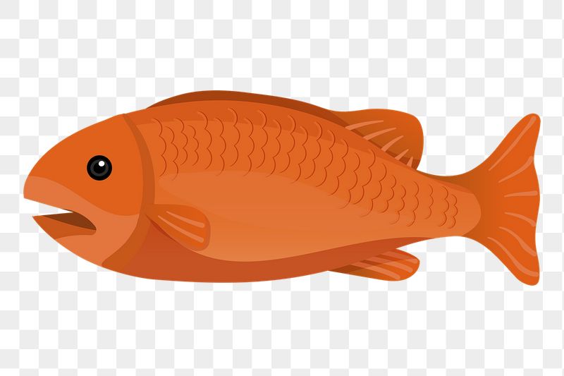 Orange fish png sticker, cute | Free PNG Illustration - rawpixel