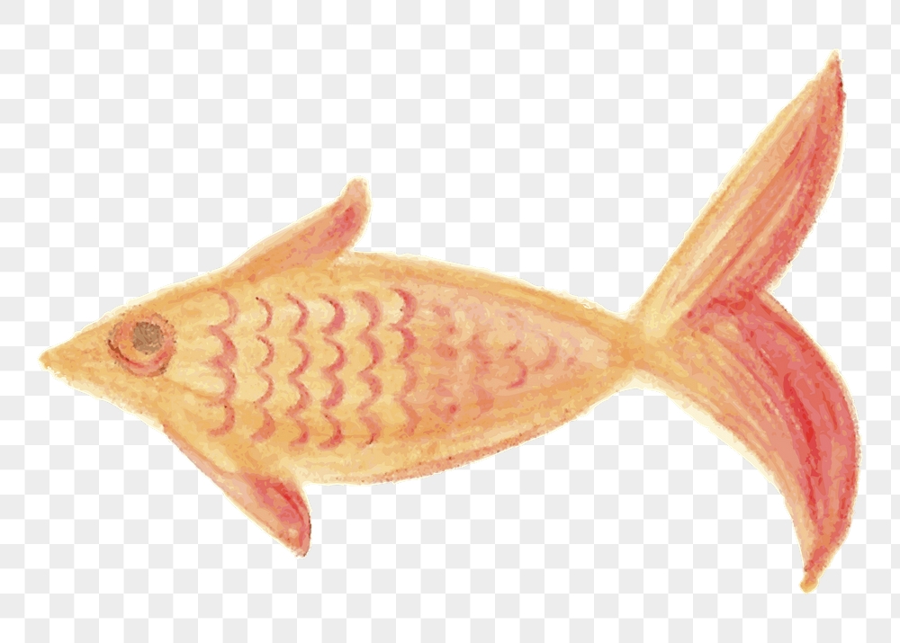 Orange fish png sticker, sea | Free PNG - rawpixel