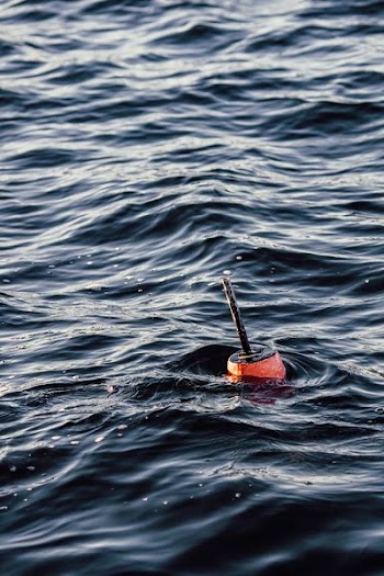orange fixture floating on body of water during daytime