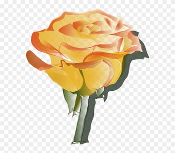 Orange Flower Clipart Animated Flower - Yellow Rose Tattoo Designs