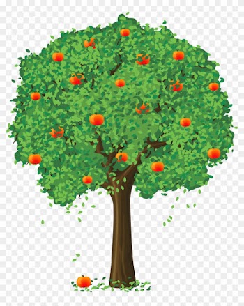 Orange Flower Clipart Apple - Tree Vector