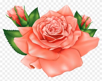 Orange Flower Clipart Orange Rose - Peach Rose Roses Clipart