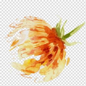 Orange flower illustration, Watercolour Flowers Watercolor painting Oil painting, Hand-painted flowers,Beautiful,watercolor,Oil painting effect,Flowers,Leaves transparent background PNG clipart