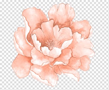 Orange flower painting, Watercolour Flowers Watercolor painting Pink flowers, painting transparent background PNG clipart