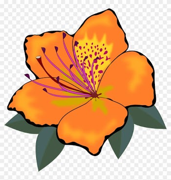 Orange Flowers Cliparts - Orange Flowers Clip Art