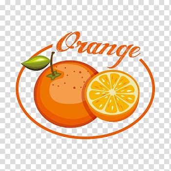 Orange Fruit Auglis, Orange label transparent background PNG clipart