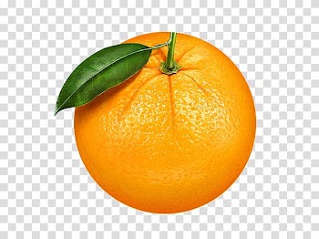 Orange fruit, Clementine Mandarin orange Fruit, Orange Oranges transparent background PNG clipart