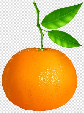 Orange fruit , Clementine Tangerine Orange Tangelo , Tangerine transparent background PNG clipart