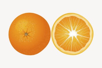 Orange, fruit clip art color | Free Photo - rawpixel