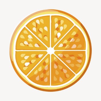 Orange fruit clip art color | Free Photo - rawpixel