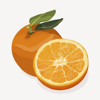 Orange fruit clipart, realistic illustration | Free Photo Illustration - rawpixel