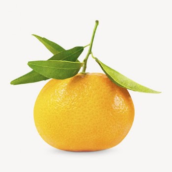 Orange fruit collage element psd | Free PSD - rawpixel
