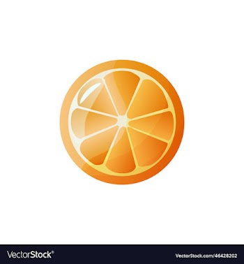 orange fruit icon on white background