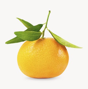 Orange fruit image, isolated on white | Free Photo - rawpixel