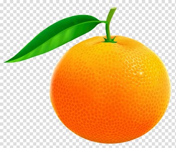 Orange fruit, Orange Grapefruit Pomelo , Orange transparent background PNG clipart