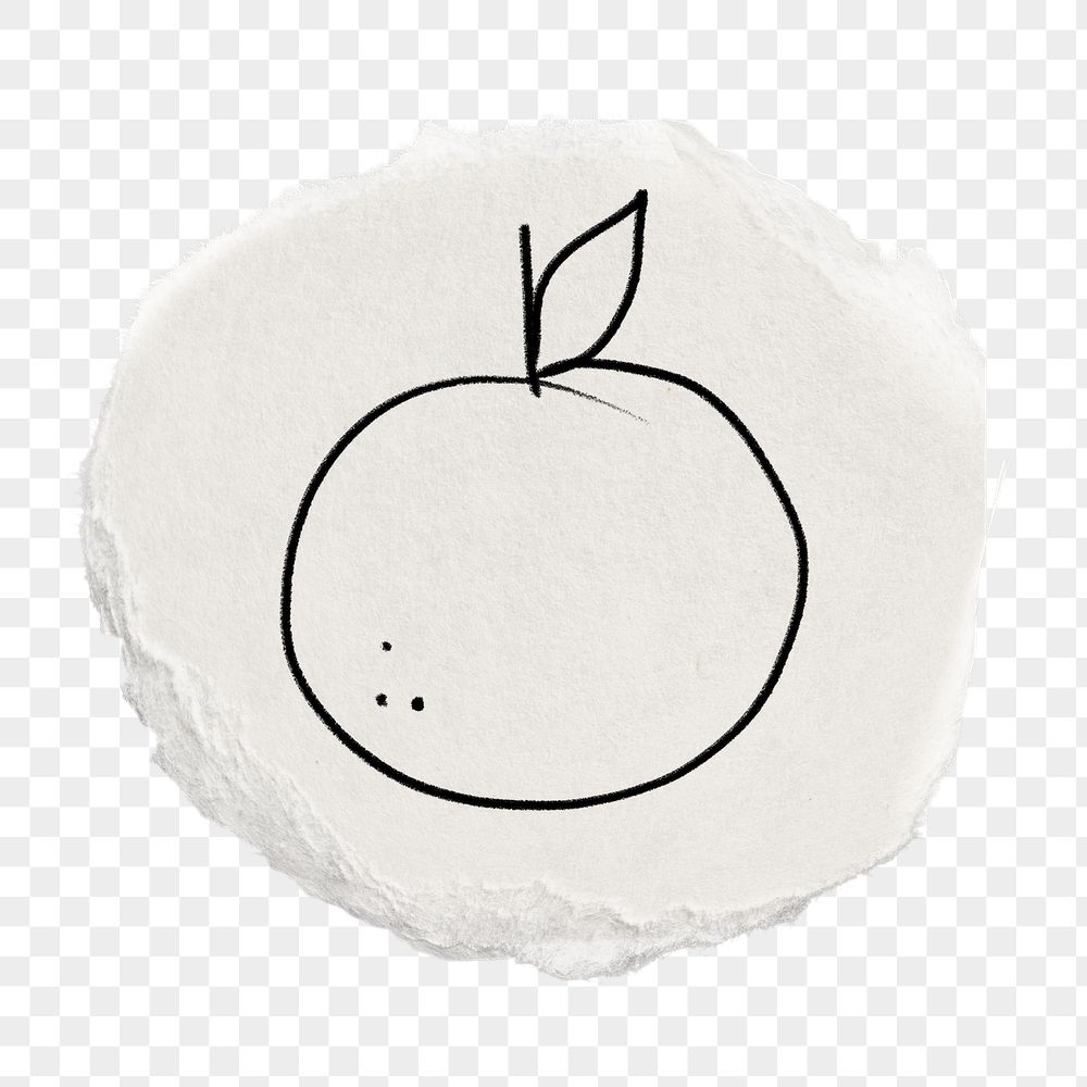 Orange fruit png doodle sticker, | Free PNG - rawpixel