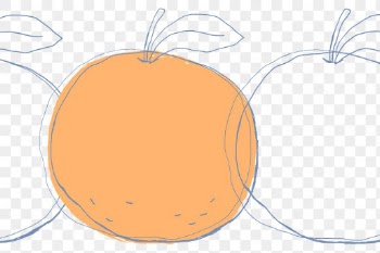 Orange fruit png hand drawn design space