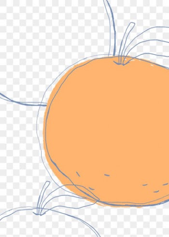 Orange fruit png hand drawn design space