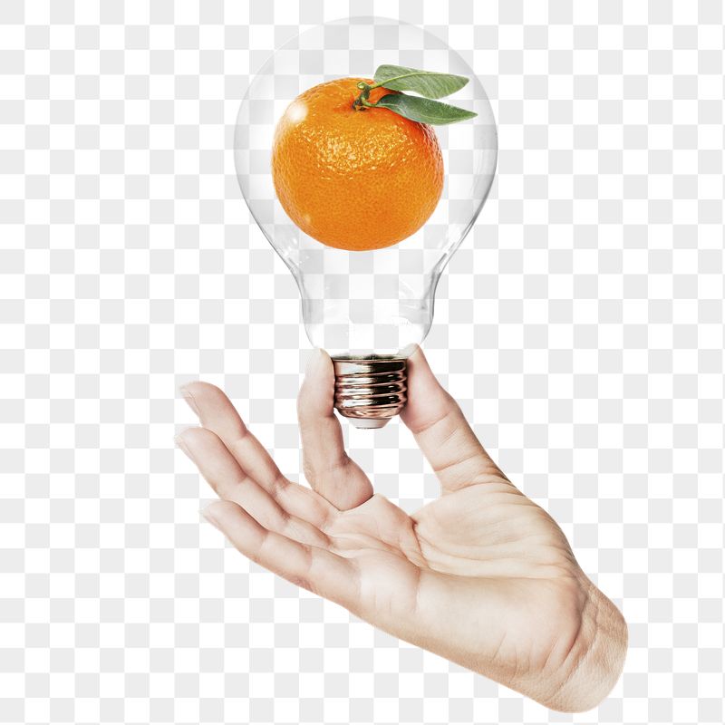Orange fruit png sticker, hand | Free PNG - rawpixel