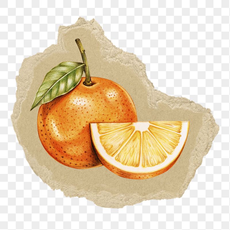 Orange fruit png sticker, ripped | Free PNG Illustration - rawpixel
