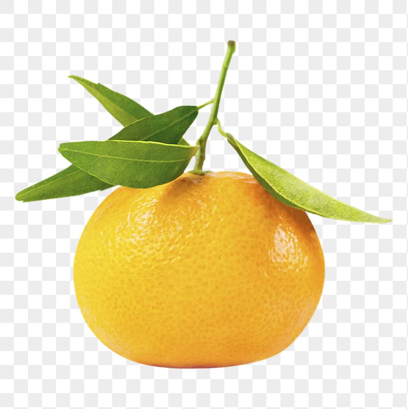 Orange fruit png sticker, transparent | Free PNG - rawpixel