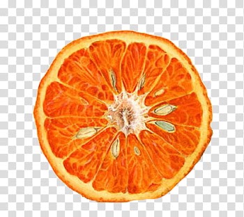 Orange fruit transparent background PNG clipart