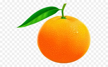 Orange Grapefruit Pomelo Clip art - Orange PNG Vector Clipart Image 