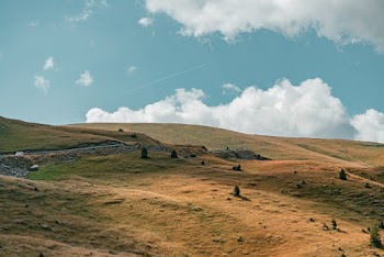 Orange Grass Mountain