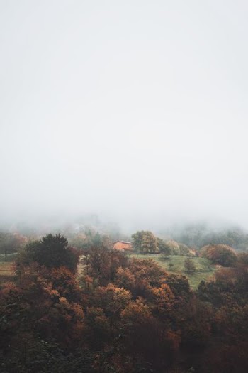 orange house in foggy woods