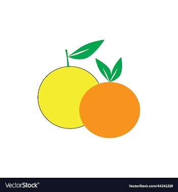 orange icon logo design