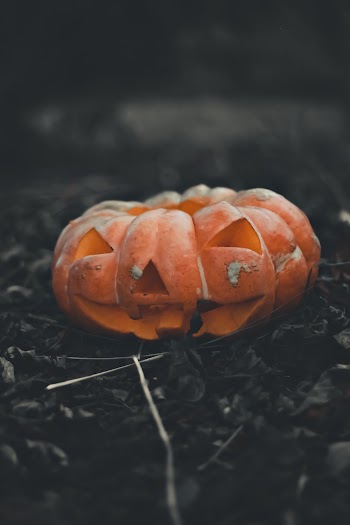 Orange Jack-'o-lantern