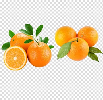 Orange juice Fruit Anti-aging cream, Orange transparent background PNG clipart