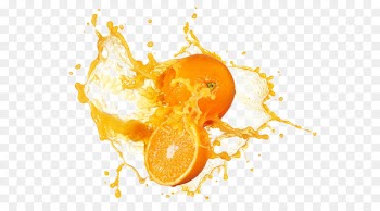 Orange juice Juicer Stock photography - lemonade 