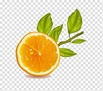 Orange juice Lemon Fruit, orange transparent background PNG clipart