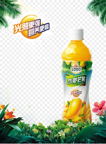 Orange juice Orange drink Mango Coconut water - Bottled mango juice 