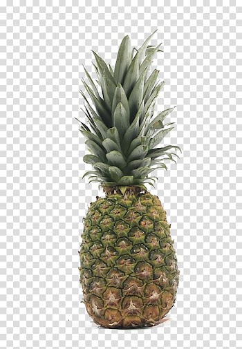 Orange juice Pineapple Tropical fruit, A pineapple transparent background PNG clipart