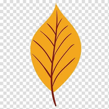 Orange leaf art transparent background PNG clipart