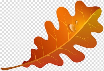 Orange Leaf Frozen Yogurt Autumn leaf color , fall transparent background PNG clipart